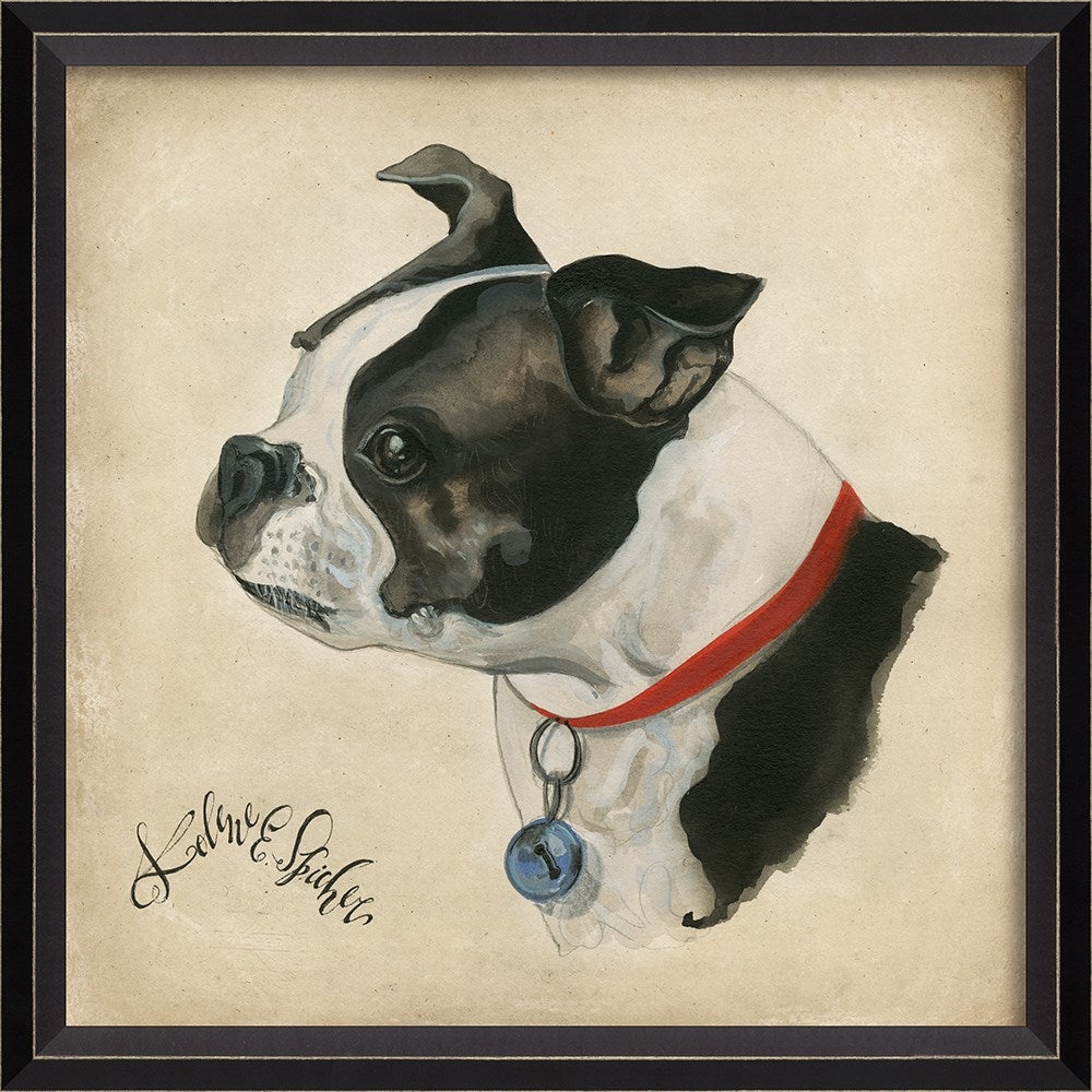 Spicher & Company BC Dog Portrait Buster 11901