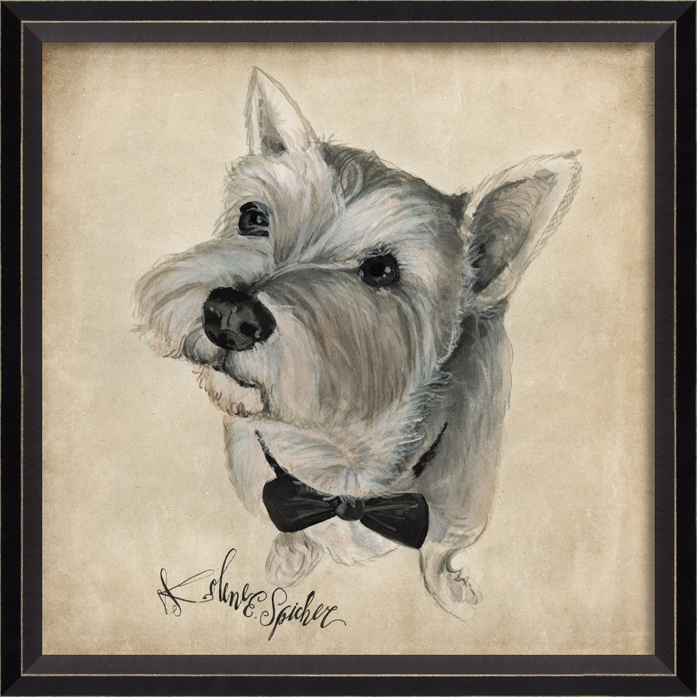 Spicher & Company BC Dog Portrait Charlie 11902