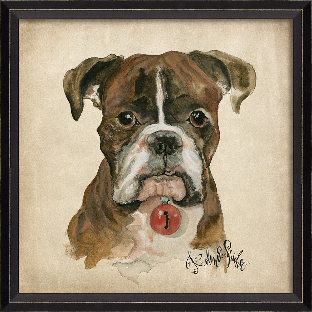 Spicher & Company BC Dog Portrait Duke 11904