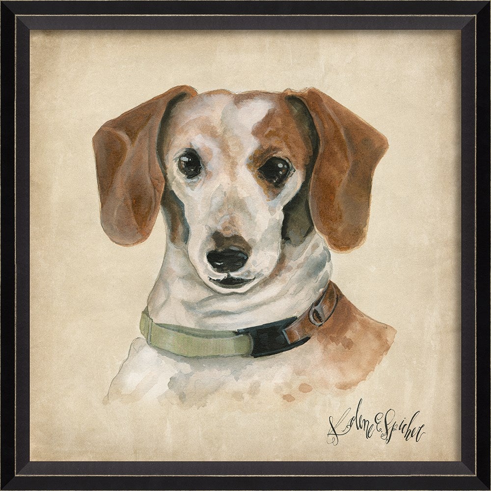 Spicher & Company BC Dog Portrait Sadie 11911