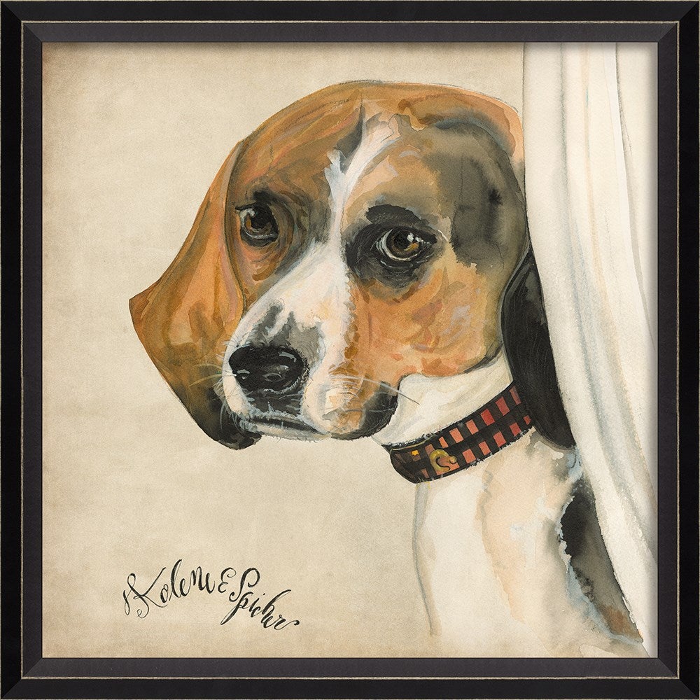 Spicher & Company BC Dog Portrait Scout 11912