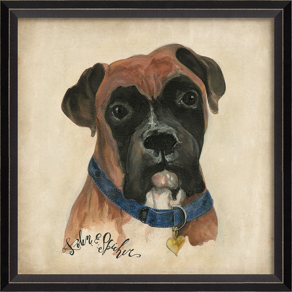 Spicher & Company BC Dog Portrait Toby 11913