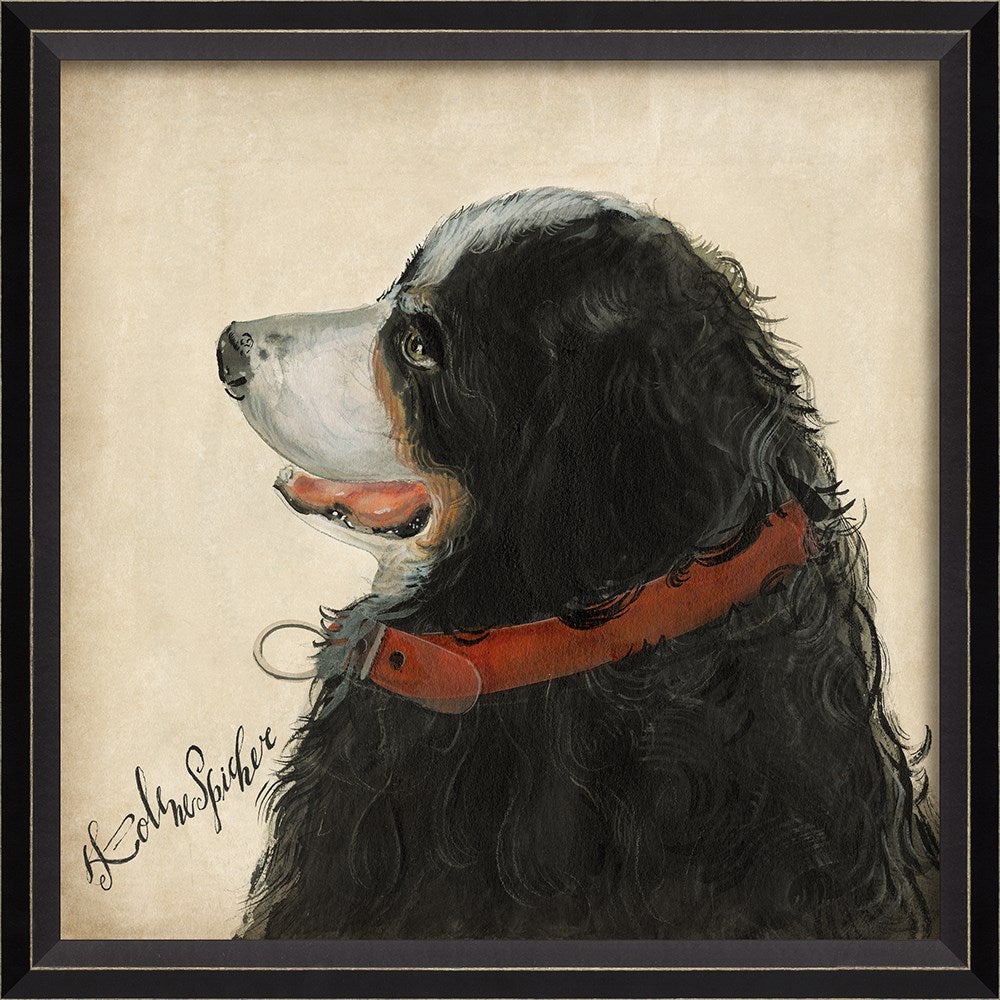 Spicher & Company BC Dog Portrait Tucker 11914