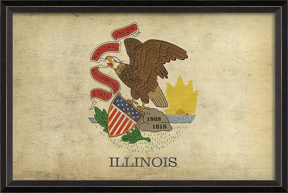 Spicher & Company BC Illinois State Flag 13953