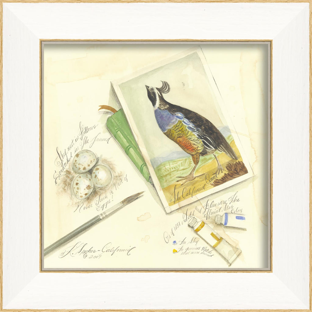 Spicher & Company SS California Quail 22437