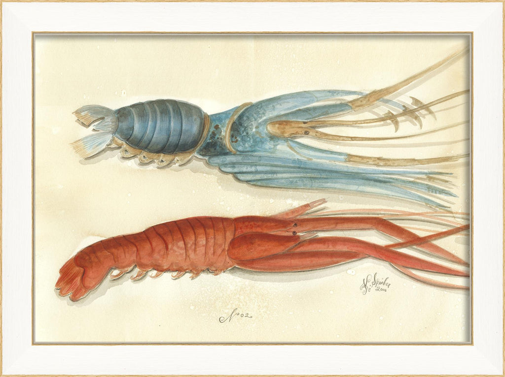 Spicher & Company SS Lobster02 22501