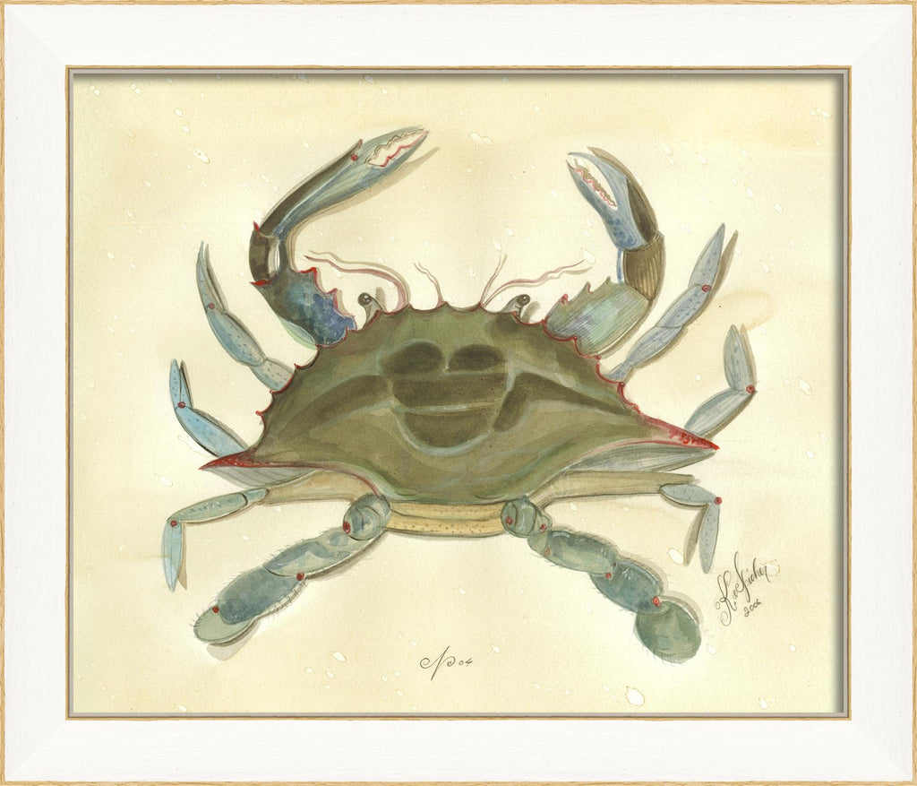 Spicher & Company SS Crab04 22503