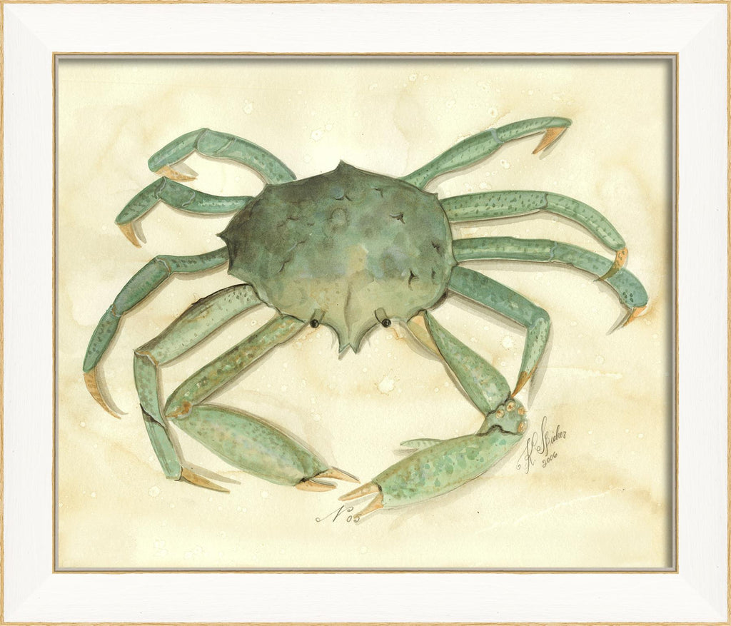 Spicher & Company SS Crab05 22504