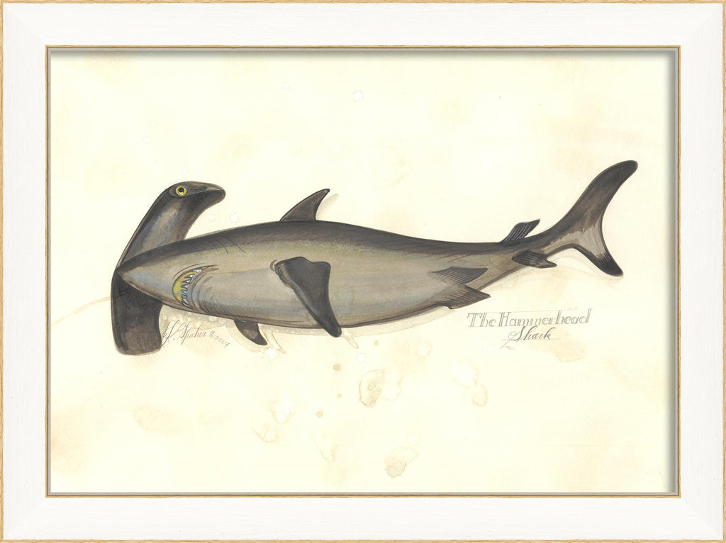 Spicher & Company SS HammerheadShark 22526