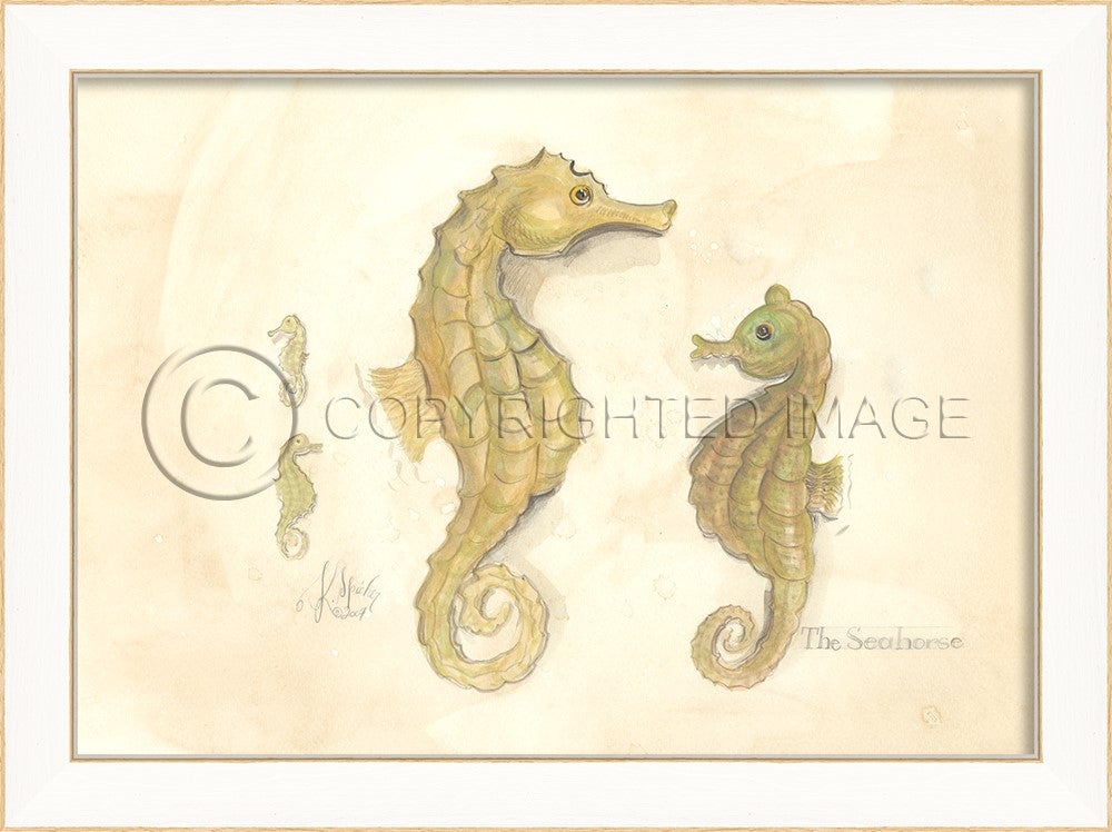 Spicher & Company SS Seahorses 22528