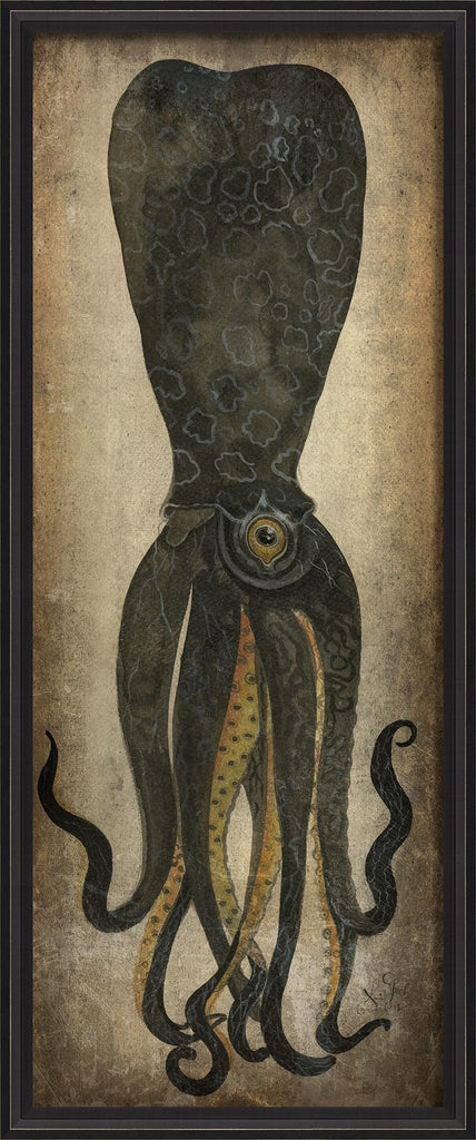 Spicher & Company BCBL Black Squid 22583