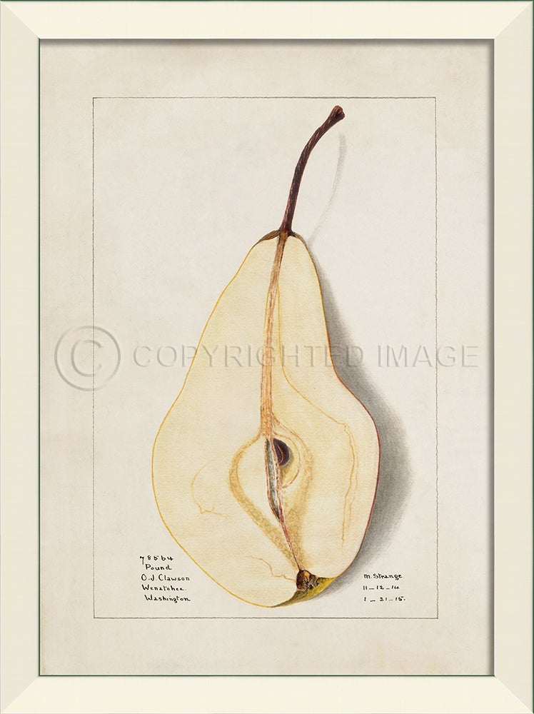 Spicher & Company LN Pear No10 27590