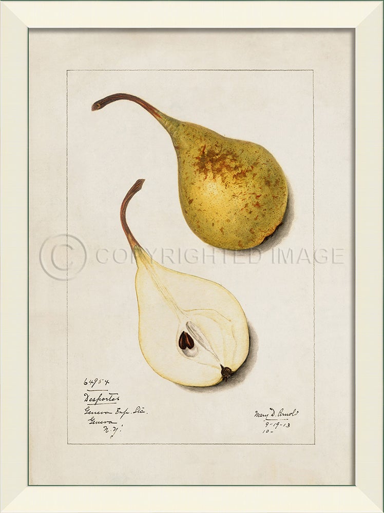 Spicher & Company LN Pear No7 27596