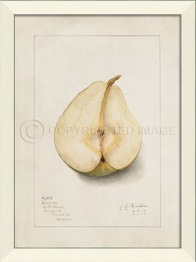 Spicher & Company LN Pear No9 27598