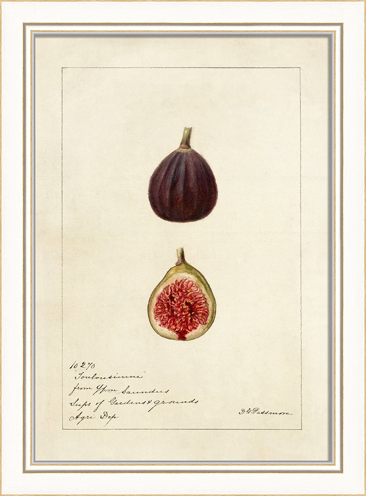 Spicher & Company KI Fig No3 27680