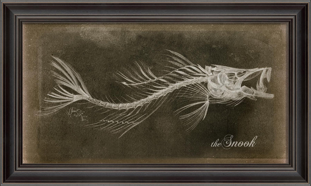 Spicher & Company LS Snook Skeleton on Black 80021