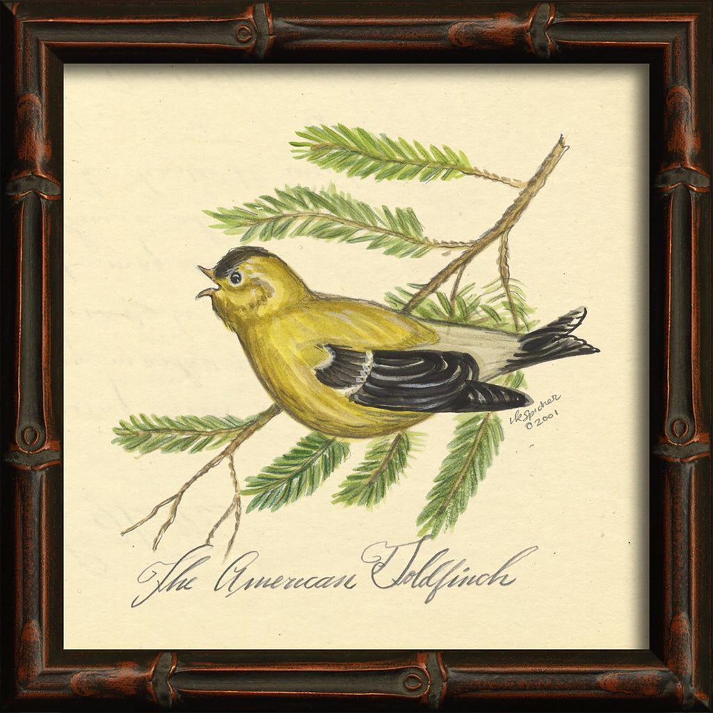 Spicher & Company HU American Goldfinch 86143