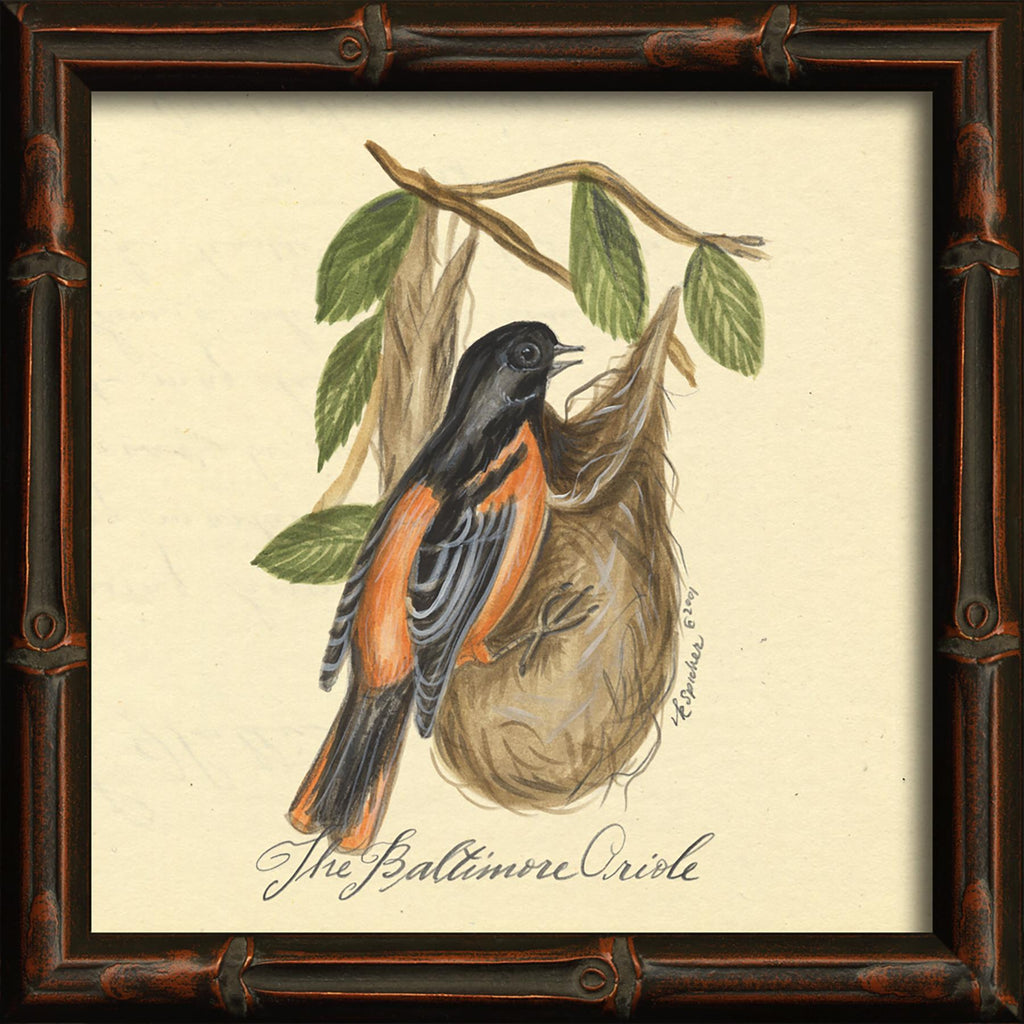 Spicher & Company HU Baltimore Oriole 86144