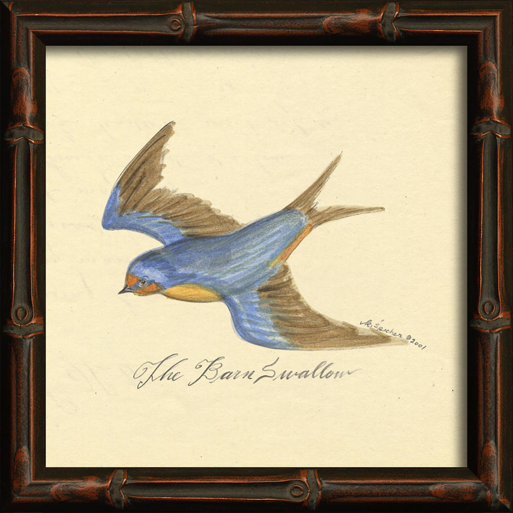 Spicher & Company HU Barn Swallow 86145