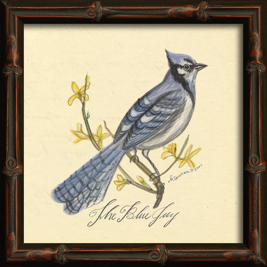 Spicher & Company HU Blue Jay 86146