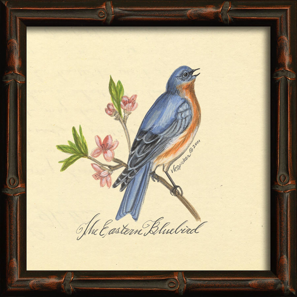 Spicher & Company HU Eastern Bluebird 86149