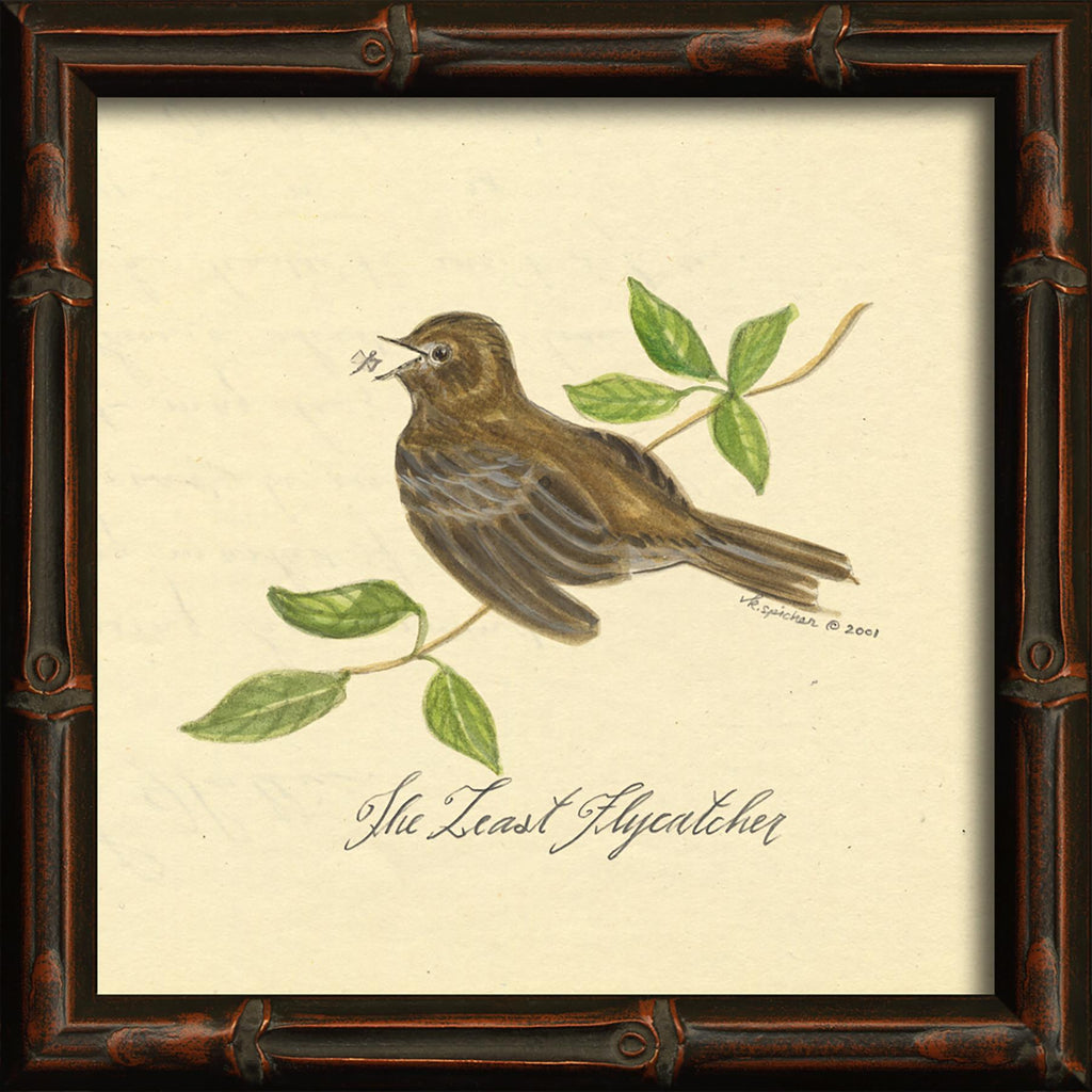 Spicher & Company HU Least Flycatcher 86153