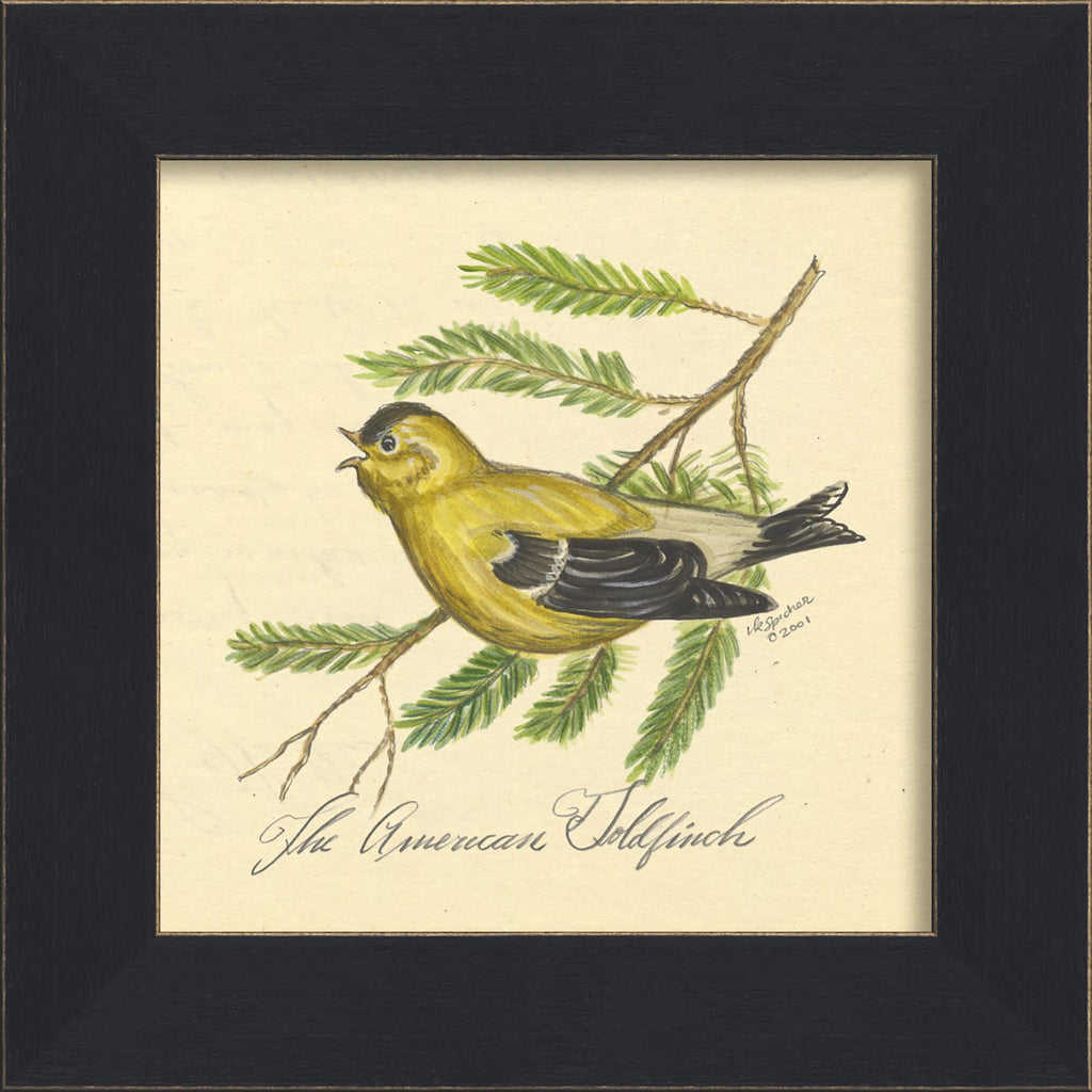 Spicher & Company MI American Goldfinch 86225