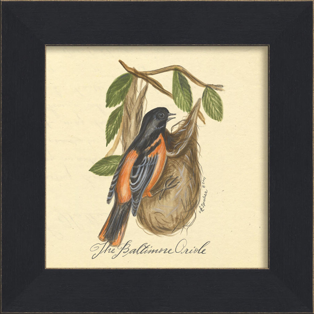 Spicher & Company MI Baltimore Oriole 86226