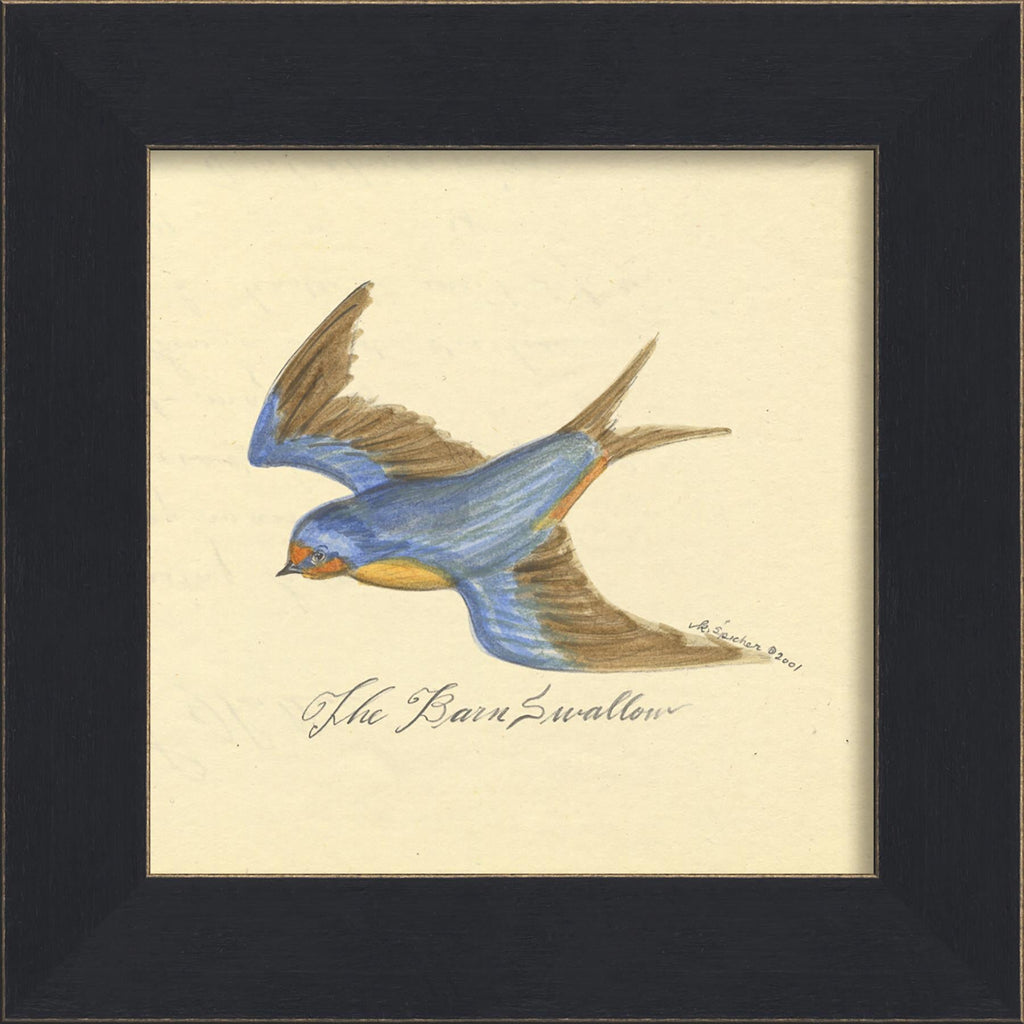 Spicher & Company MI Barn Swallow 86227