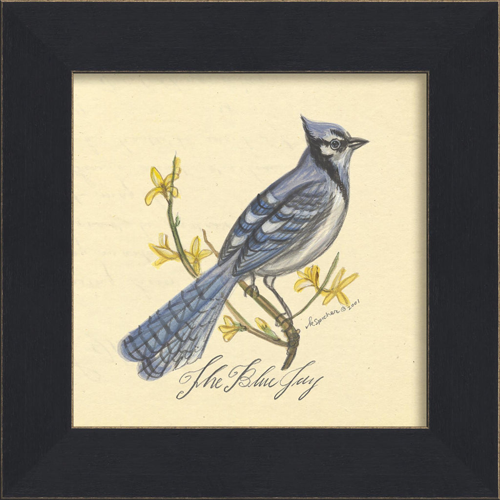 Spicher & Company MI Blue Jay 86228