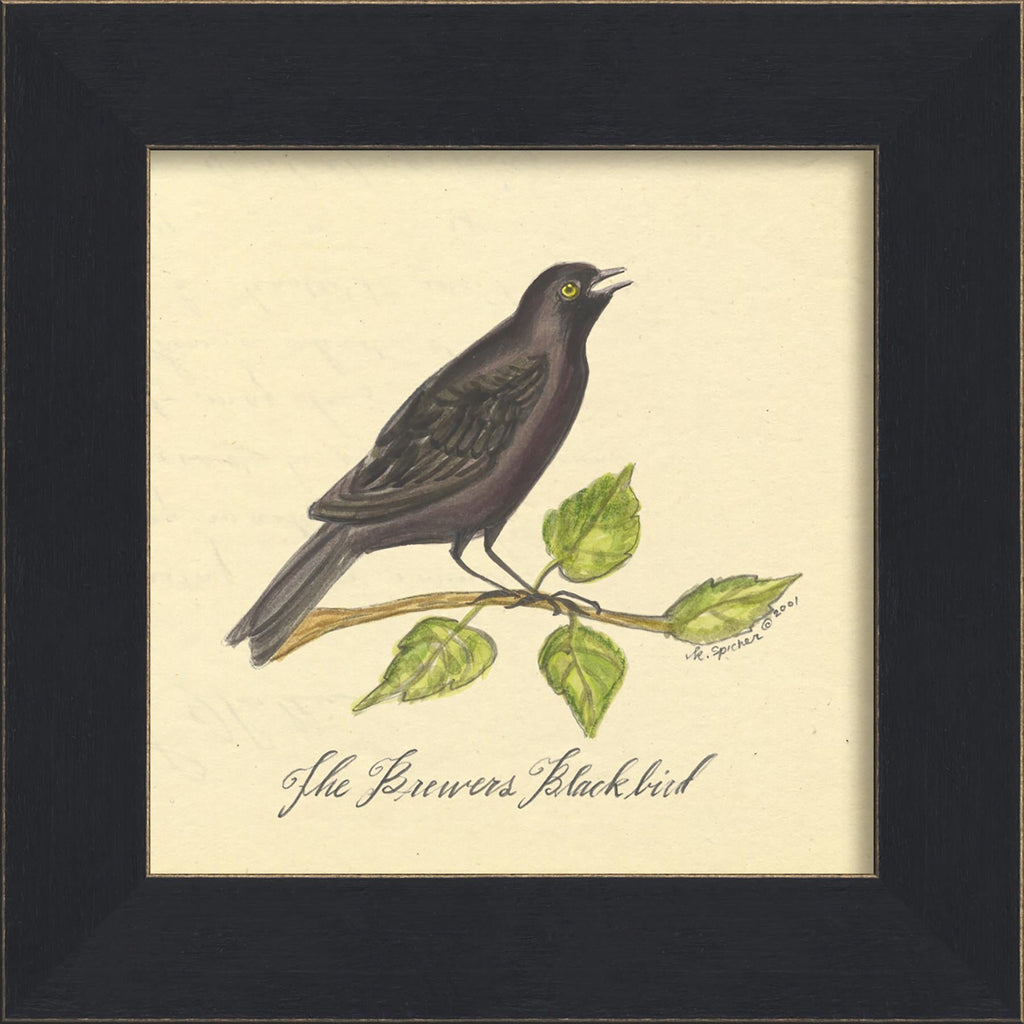 Spicher & Company MI Brewers Blackbird 86229