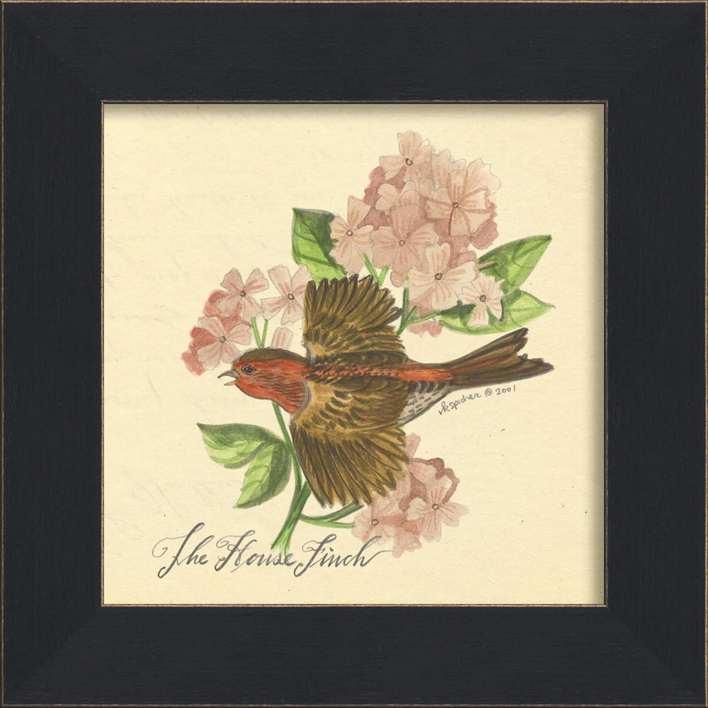 Spicher & Company MI House Finch 86232