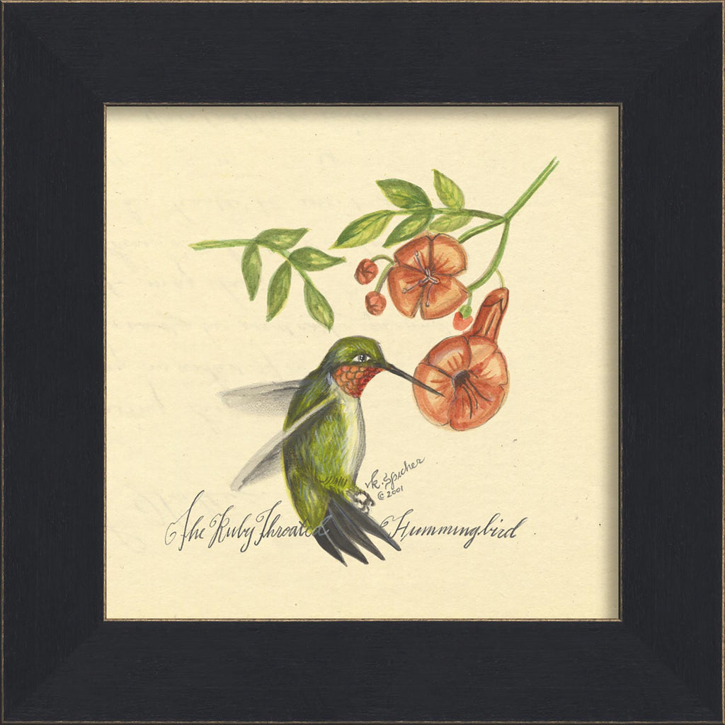 Spicher & Company MI Hummingbird 86234