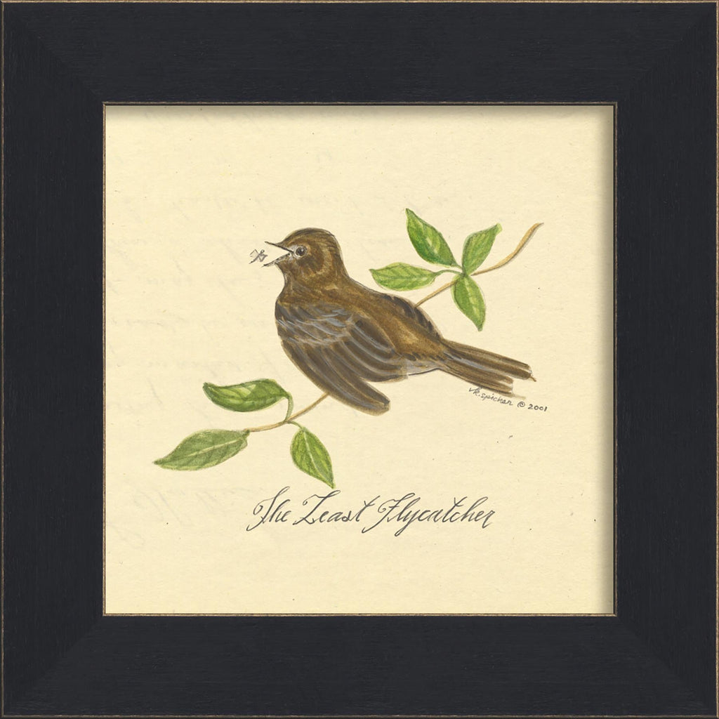 Spicher & Company MI Least Flycatcher 86235