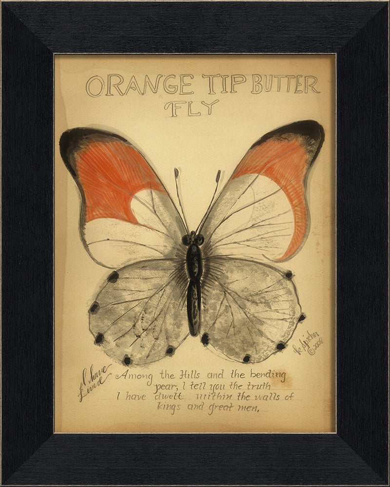 Spicher & Company MI Orange Tip Butterfly 86361