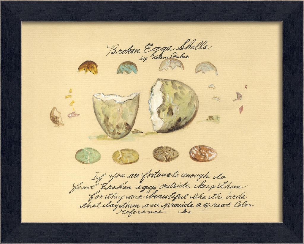 Spicher & Company MI Broken Egg Shells 86391