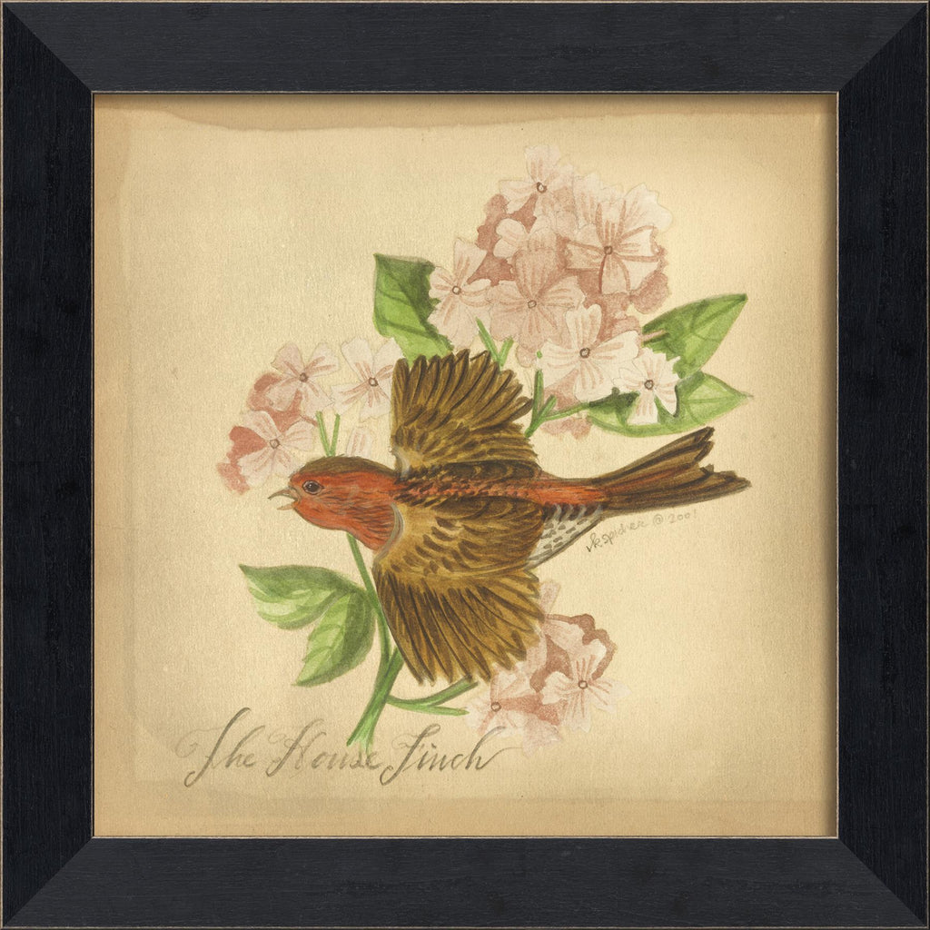 Spicher & Company MI House Finch LF 86414