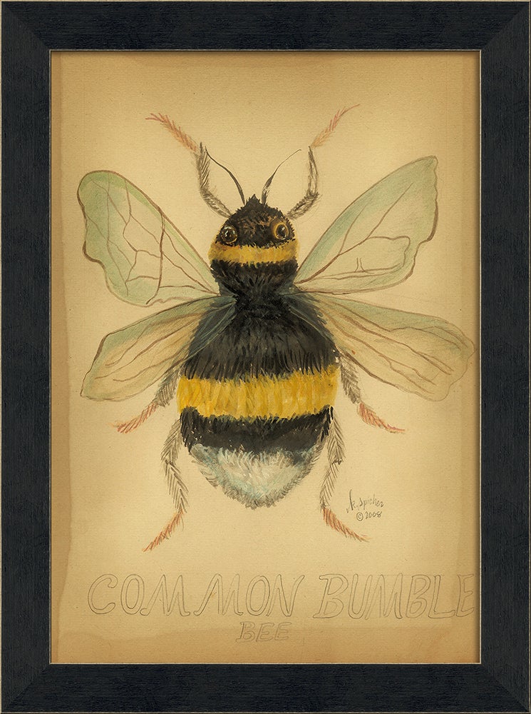 Spicher & Company MI Common Bumble Bee 86424