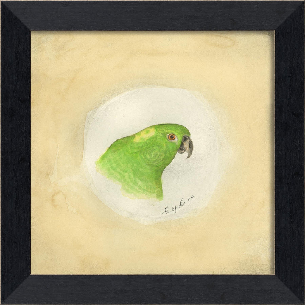 Spicher & Company MI Parrot 5 86452