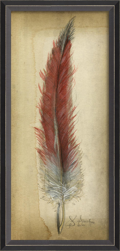 Spicher & Company BC Red Feather 86466