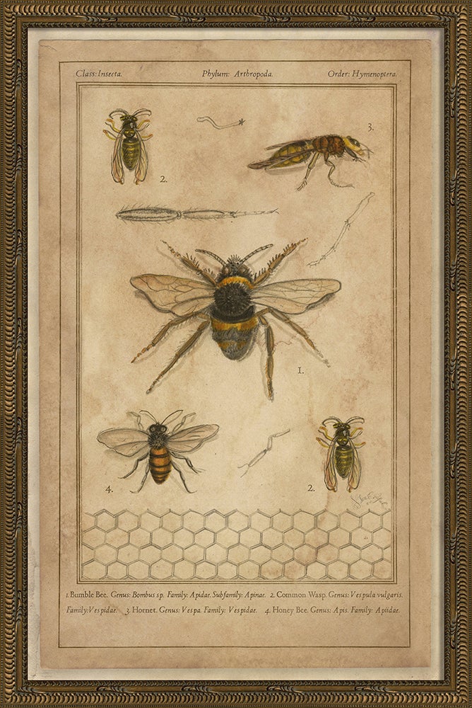 Spicher & Company KG Bees 86474