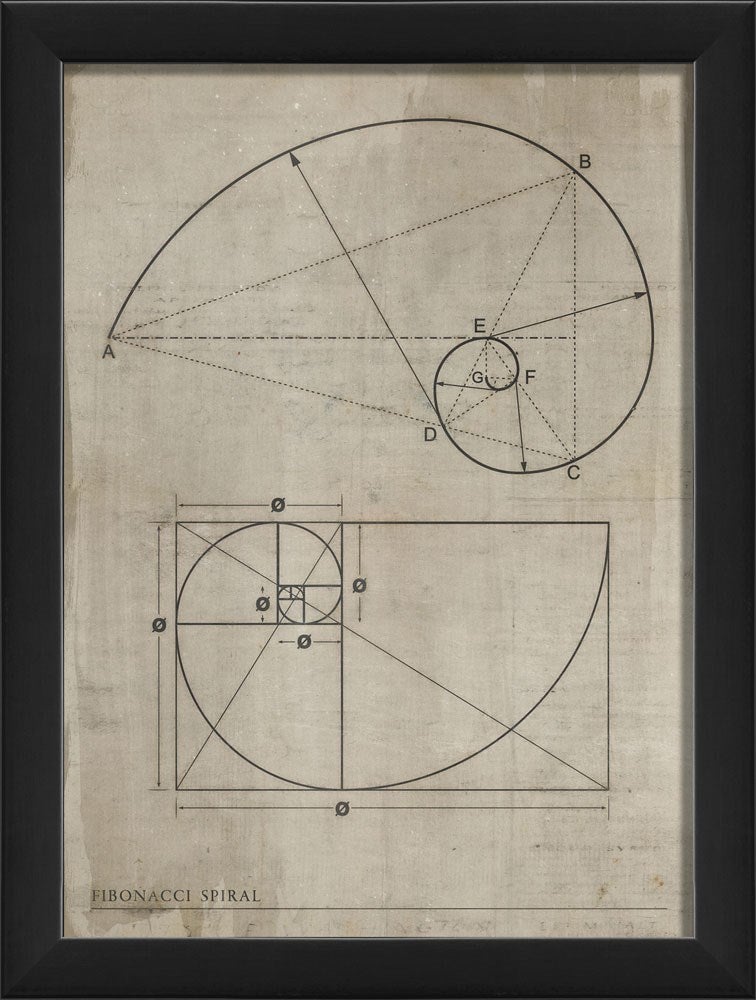 Spicher & Company EB Fibonacci Spiral 92617