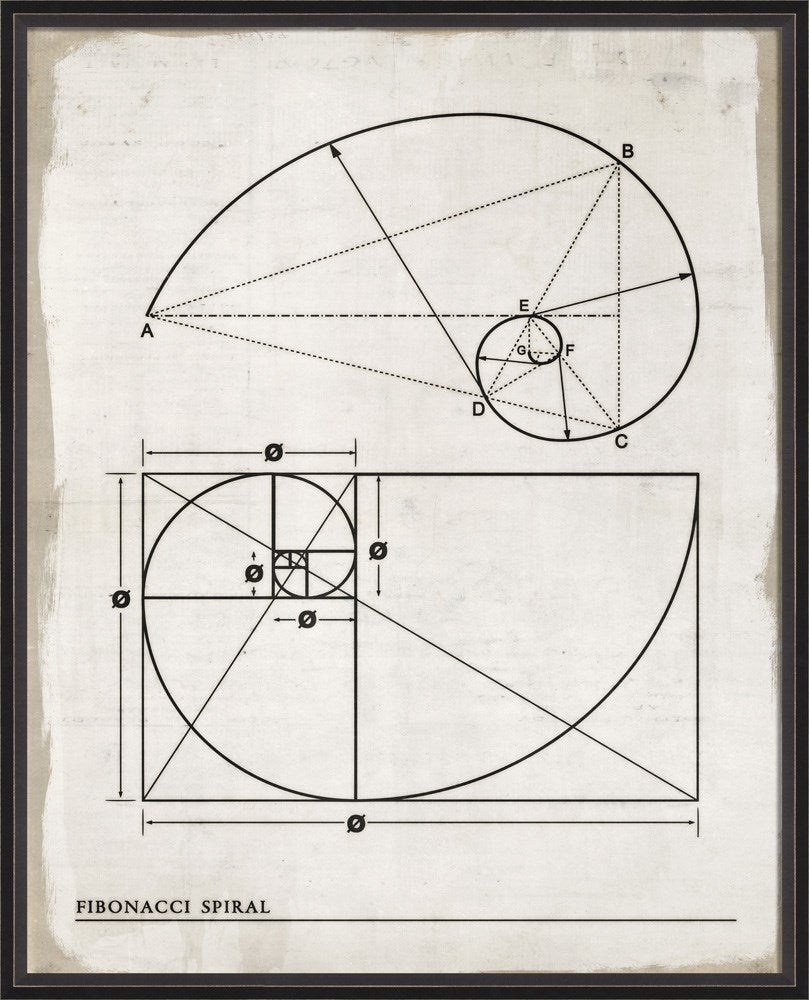 Spicher & Company BC Fibonacci Spiral lg 92832