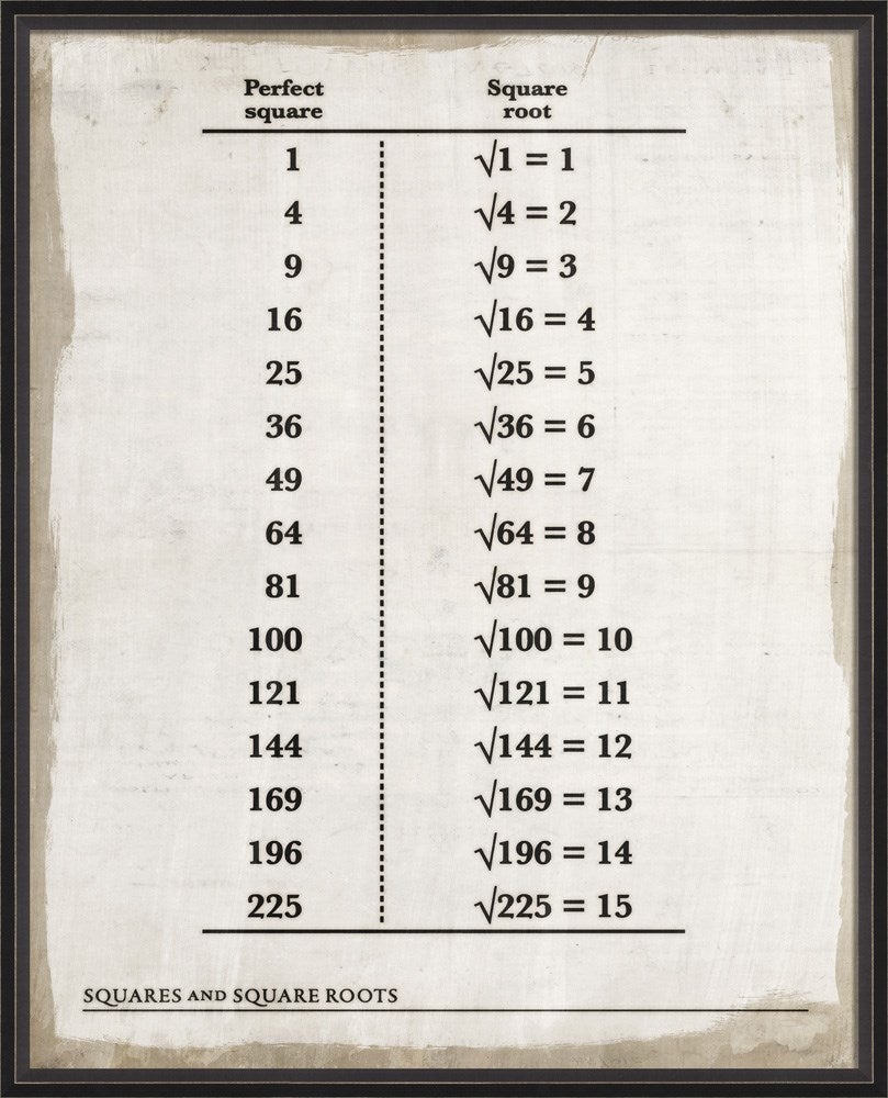 Spicher & Company BC Squares and Square Roots lg 92839