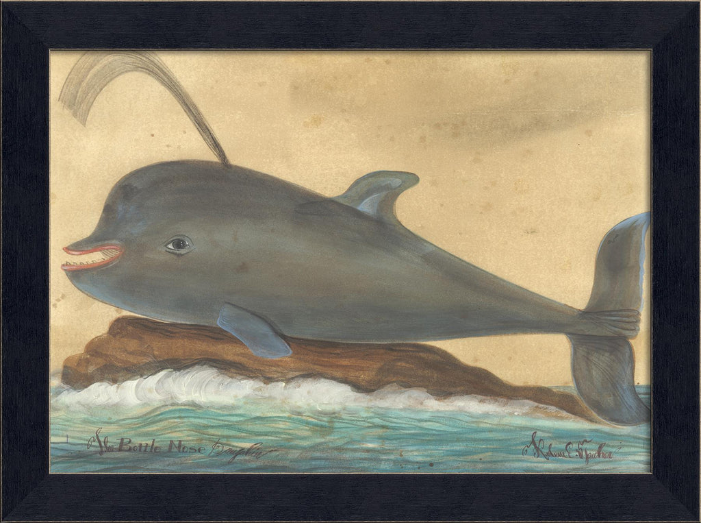 Spicher & Company MI BottleNoseDolphin 94210