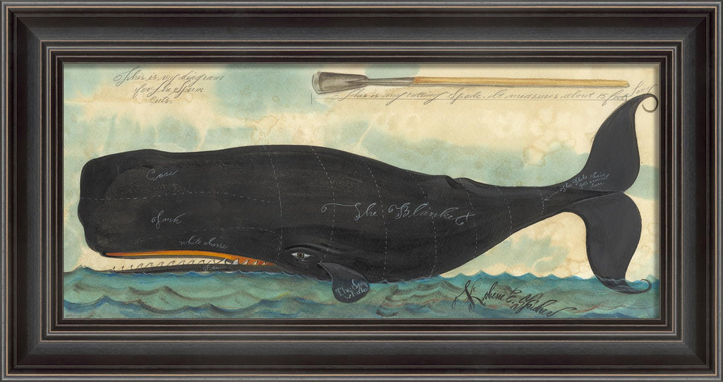 Spicher & Company LS Diagram for the Sperm Whale Cuts 98030